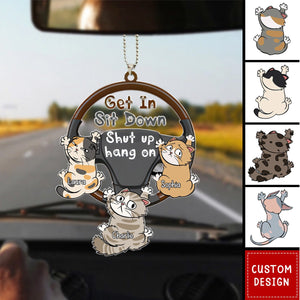 Personalized Get In Funny Car Acrylic Hanging Ornament-Gift For Cat Lovers