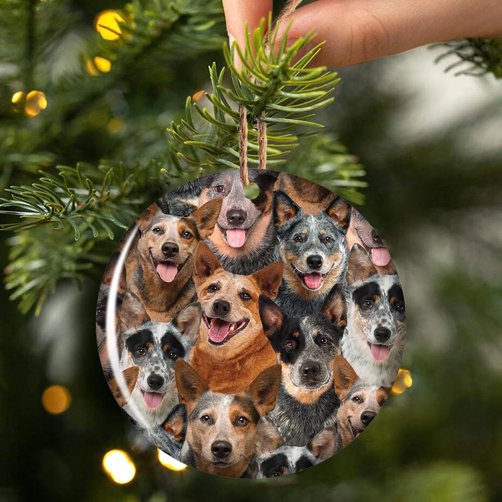 A Bunch Of Australian Cattles Porcelain/Ceramic Ornament