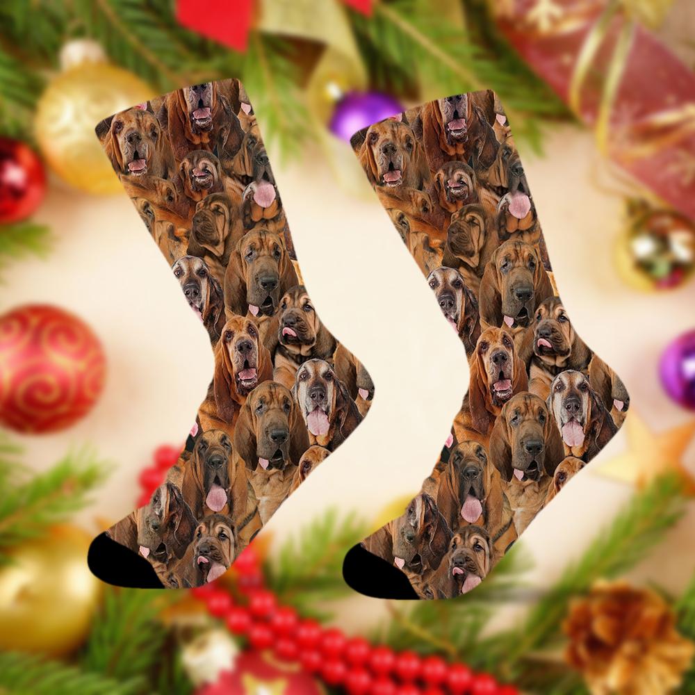 A Bunch Of Bearded Collies Socks