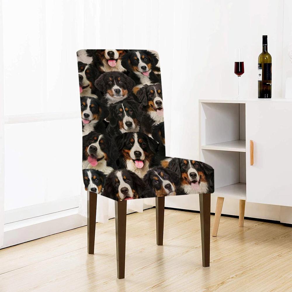 A Bunch Of Bernese Mountains Chair Cover/Great Gift Idea For Dog Lovers