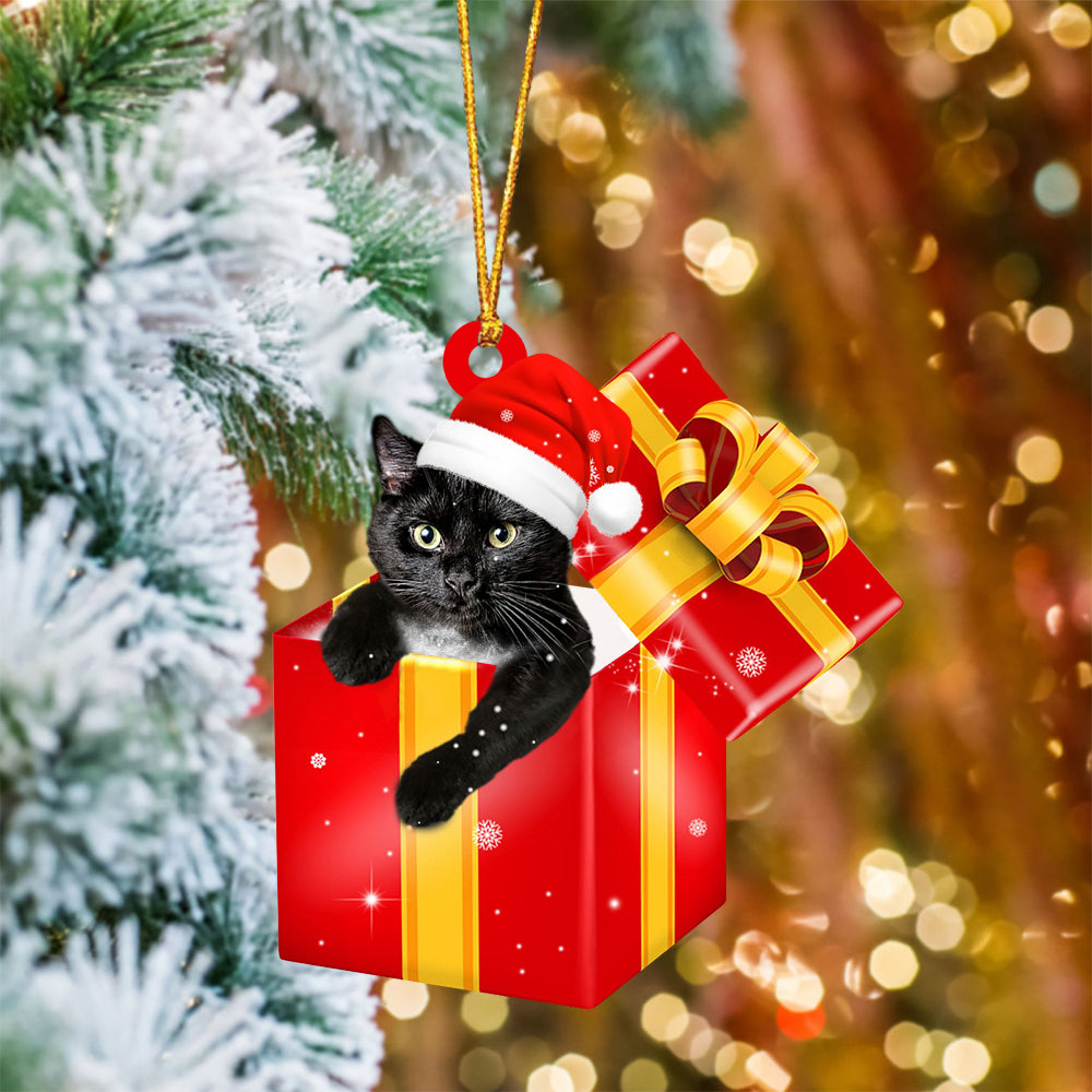 Black Cat In Red Gift Box Christmas Ornament