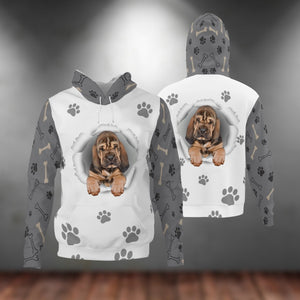 Bloodhound-Paw Dog Unisex Hoodie