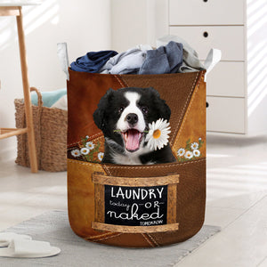 Border Collie Laundry Today Or Naked Tomorrow Laundry Basket