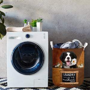 Border Collie Laundry Today Or Naked Tomorrow Laundry Basket