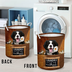 Border Collie Laundry Today Or Naked Tomorrow Laundry Basket