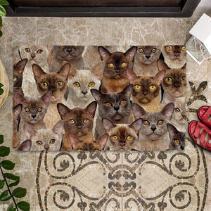 A Bunch Of Burmese Cats Doormat