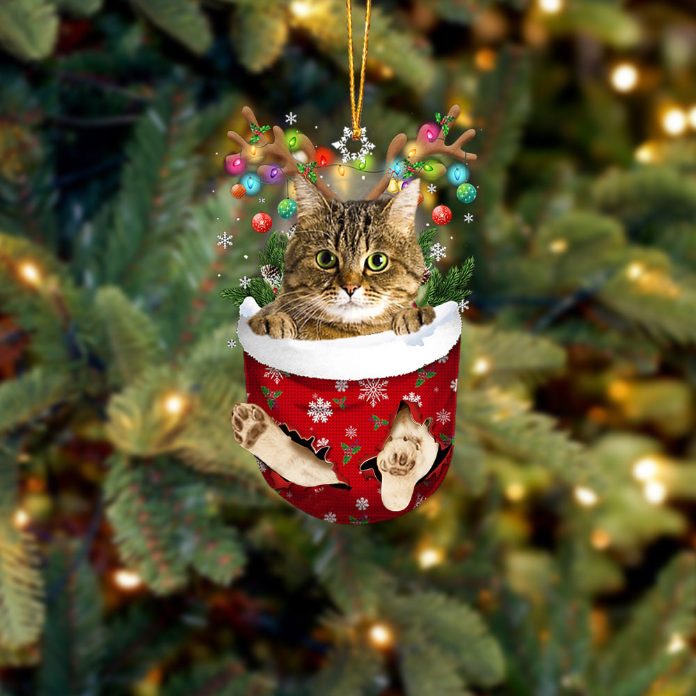 Cat 13 In Snow Pocket Christmas Ornament