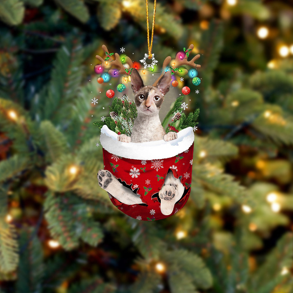 Cat 2 In Snow Pocket Christmas Ornament