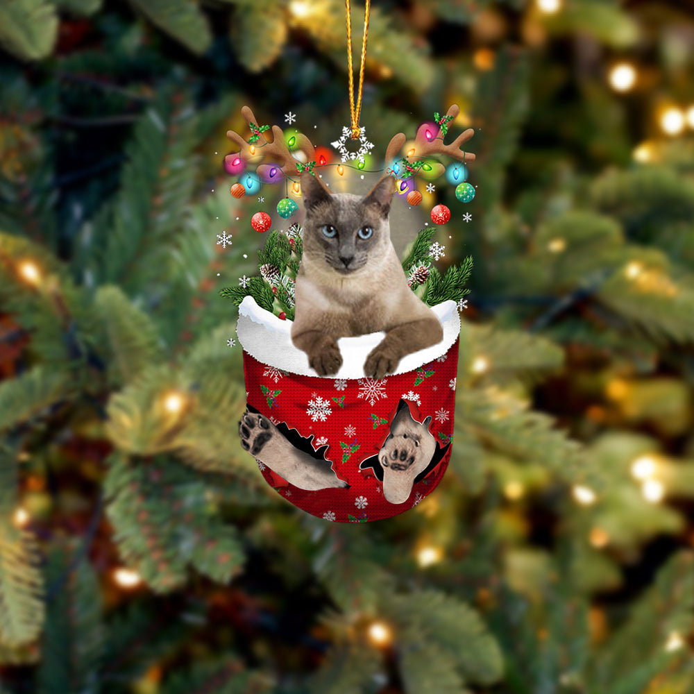 Cat Tonkinese In Snow Pocket Christmas Ornament