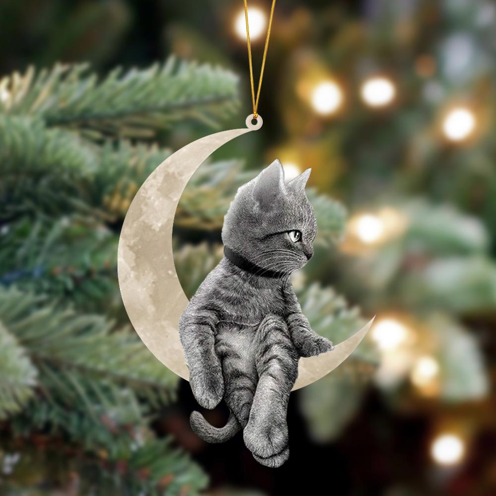 Cat Sits On The Moon Hanging Ornament