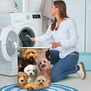 A Bunch Of Cavapoos Laundry Basket