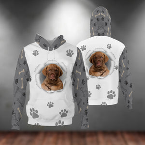 Chesapeake Bay Retriever-Paw Dog Unisex Hoodie