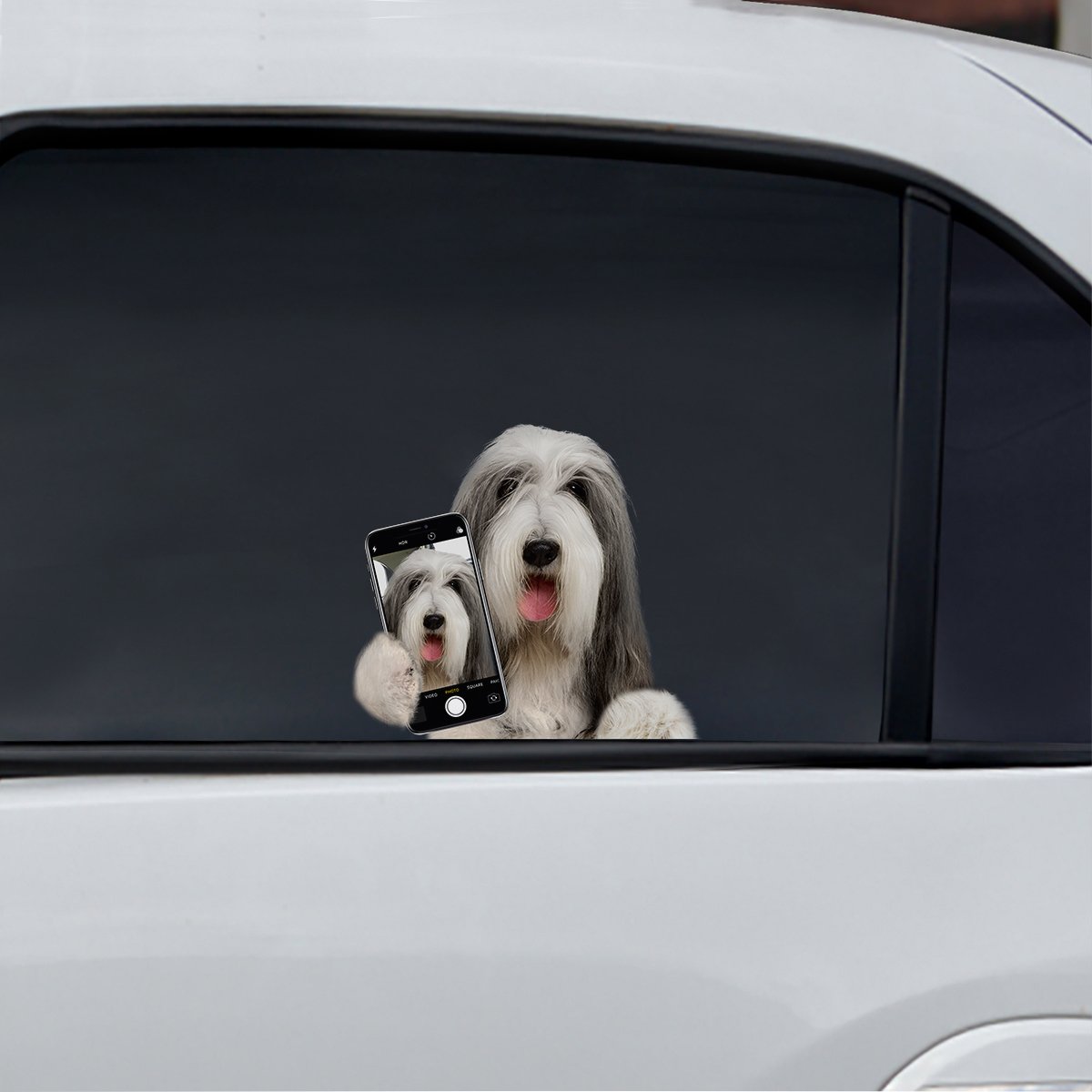 Do You Like My Selfie - Bearded Collie Car/ Door/ Fridge/ Laptop Sticker V1