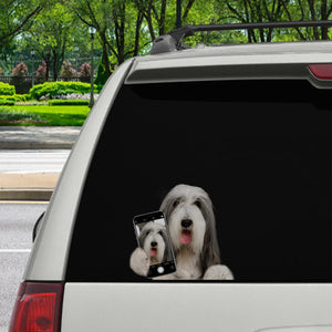 Do You Like My Selfie - Bearded Collie Car/ Door/ Fridge/ Laptop Sticker V1