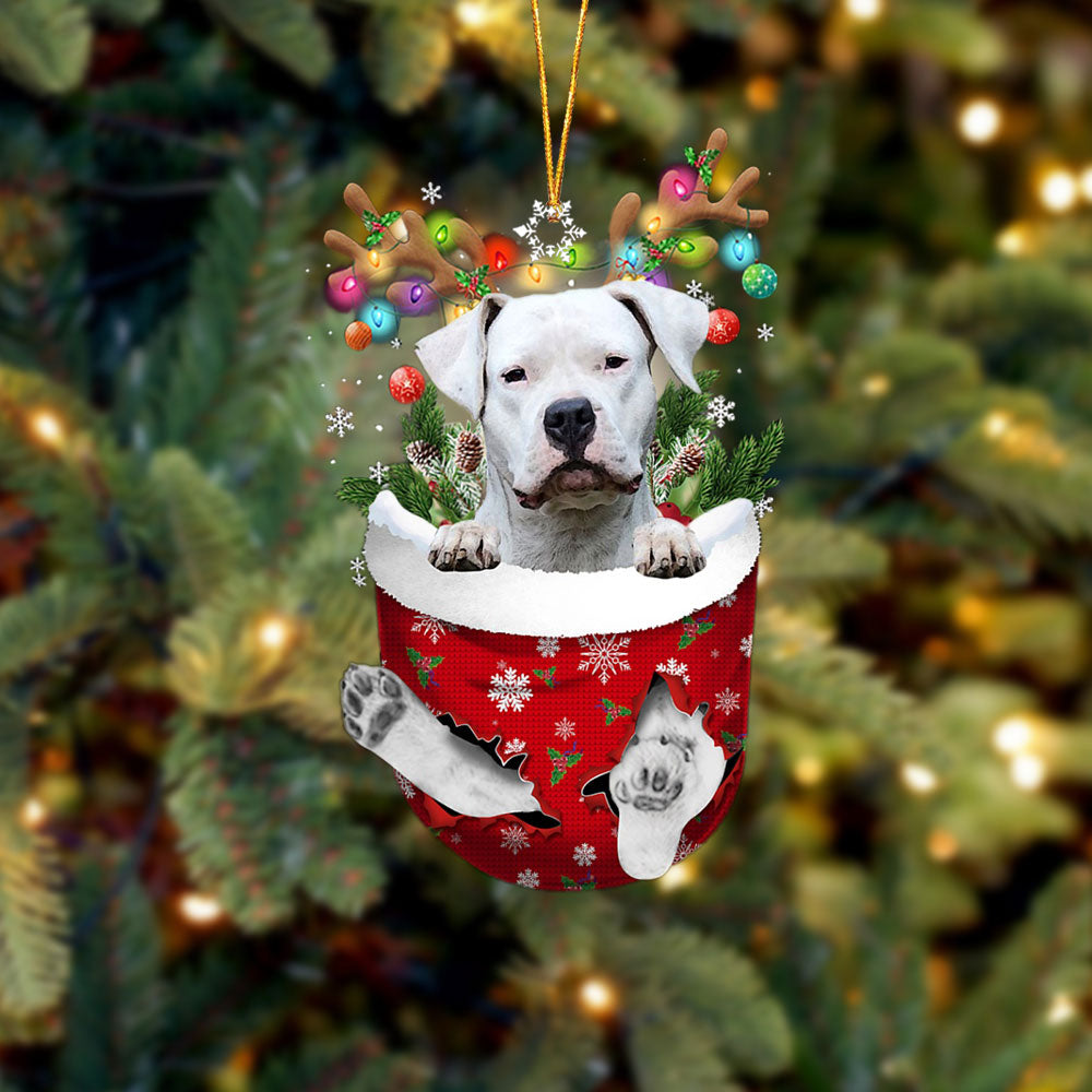 Dogo Argentino In Snow Pocket Christmas Ornament