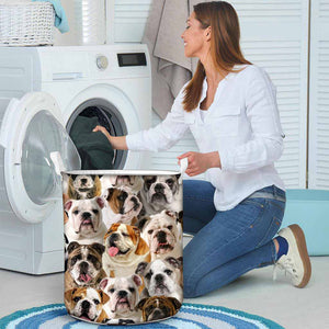 A Bunch Of English Bulldogs Laundry Basket