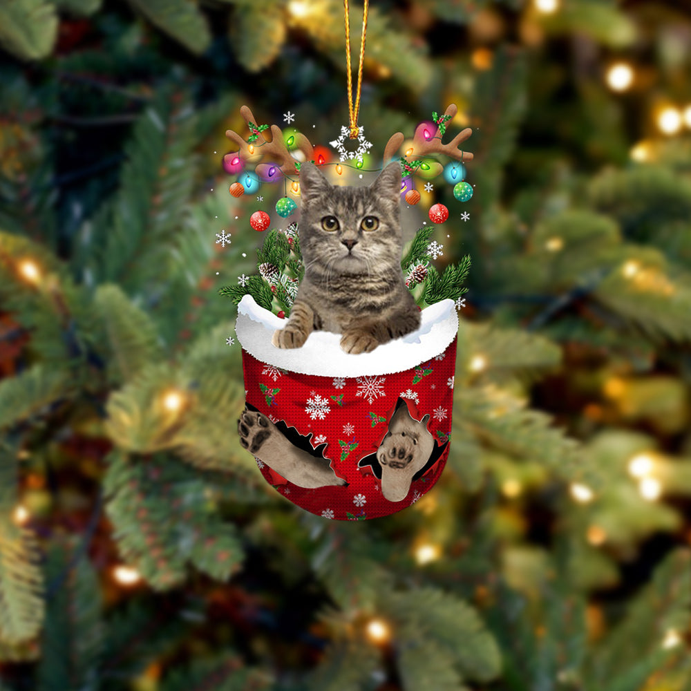 European Shorthair In Snow Pocket Christmas Ornament