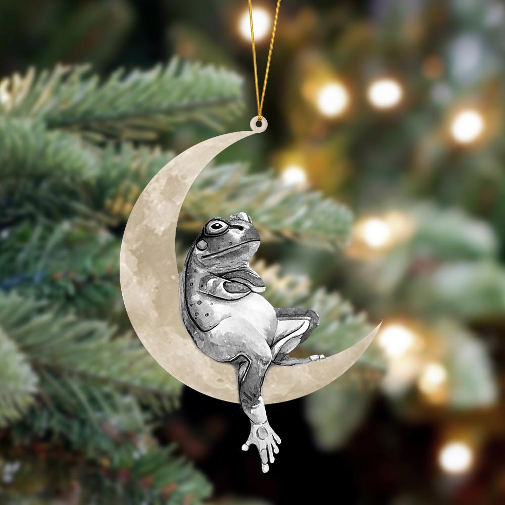 Frog Sits On The Moon Hanging Ornament