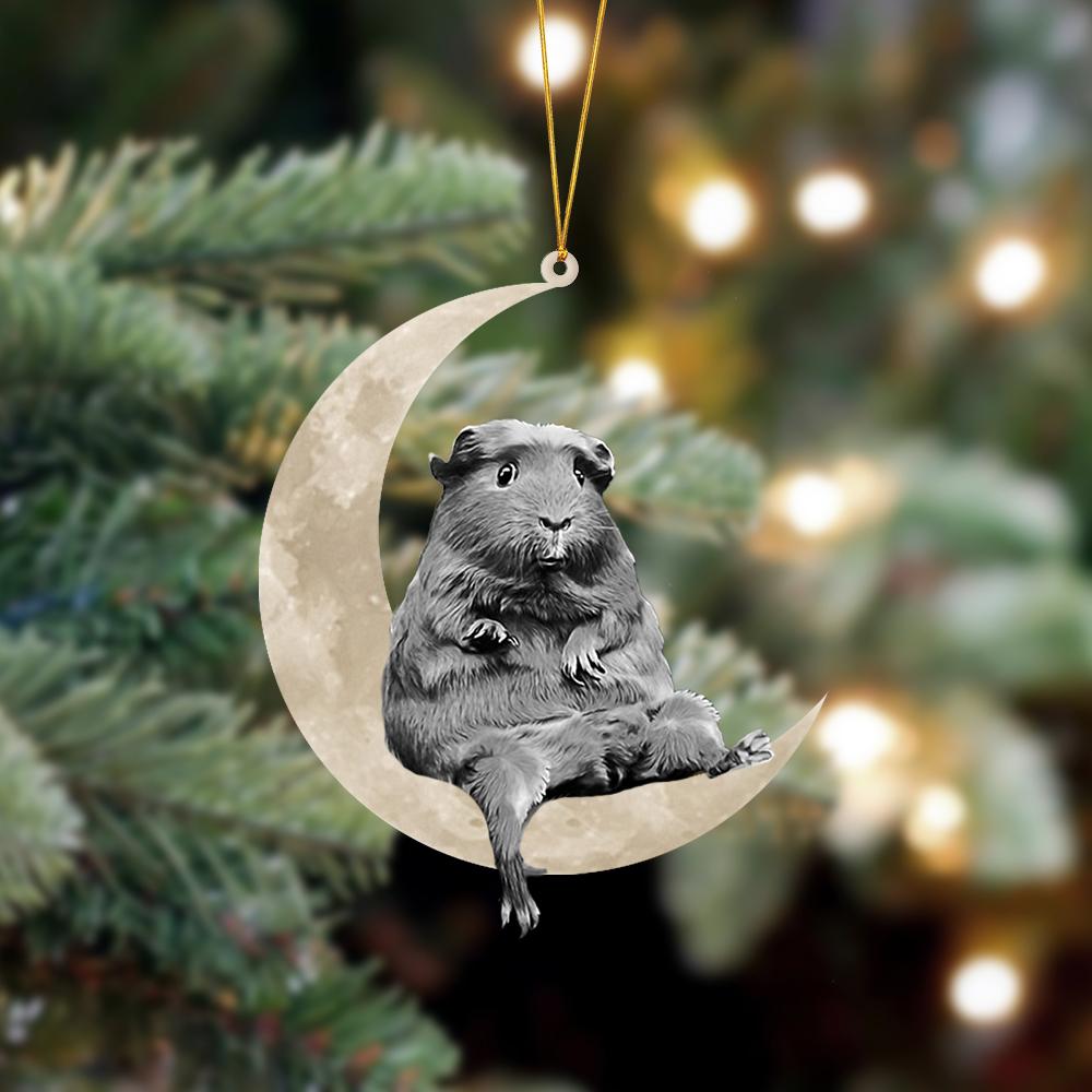 Guinea Sits On The Moon Hanging Ornament