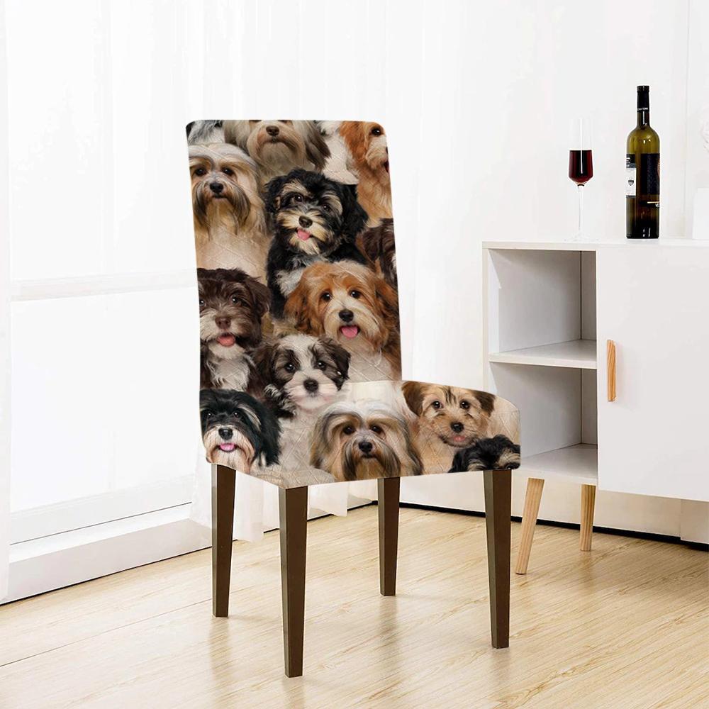 A Bunch Of Havaneses Chair Cover/Great Gift Idea For Dog Lovers