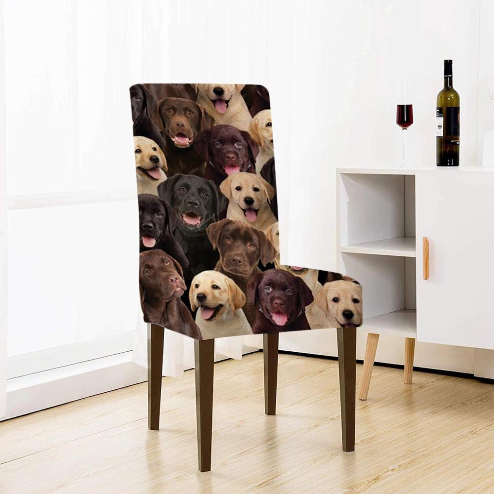 A Bunch Of Labradors Chair Cover/Great Gift Idea For Dog Lovers