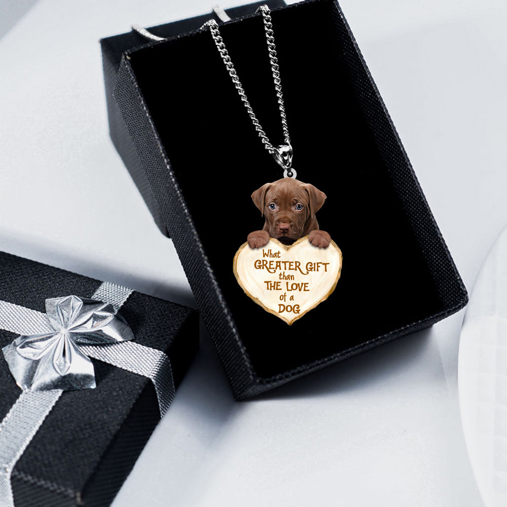 Pitbull5 -What Greater Gift Than The Love Of Dog Stainless Steel Necklace