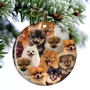 A Bunch Of Pomeranians Porcelain/Ceramic Ornament