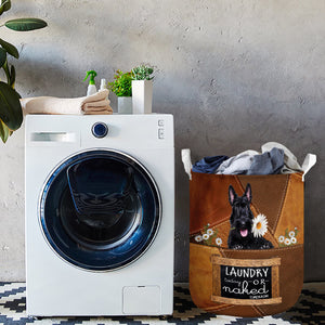 Scottish Terrier Laundry Today Or Naked Tomorrow Laundry Basket