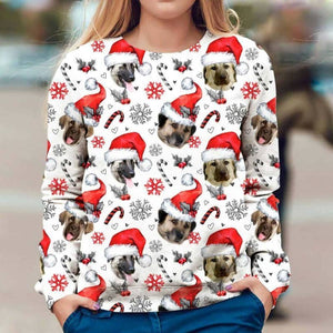 Anatolian Shepherd - Xmas Decor - Premium Sweatshirt