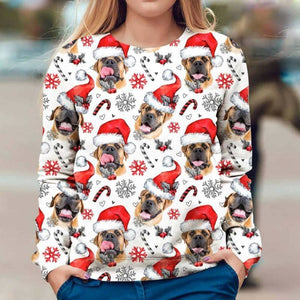 Boerboel - Xmas Decor - Premium Sweatshirt