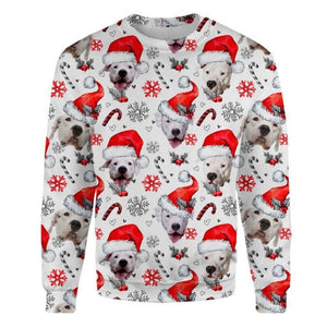 Dogo Argentino - Xmas Decor - Premium Sweatshirt