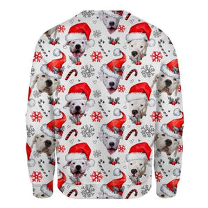 Dogo Argentino - Xmas Decor - Premium Sweatshirt