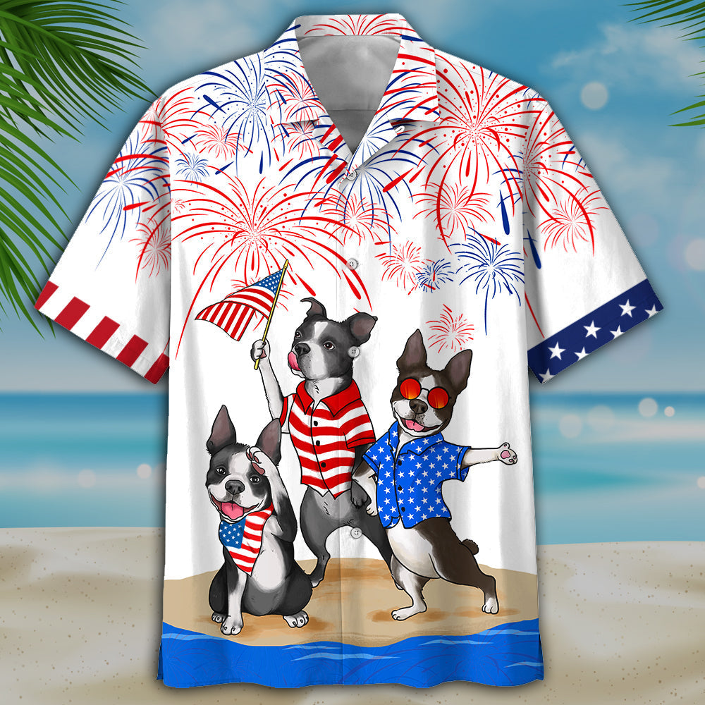 Familleus - Boston Terriers - Independence Day Is Coming 0303